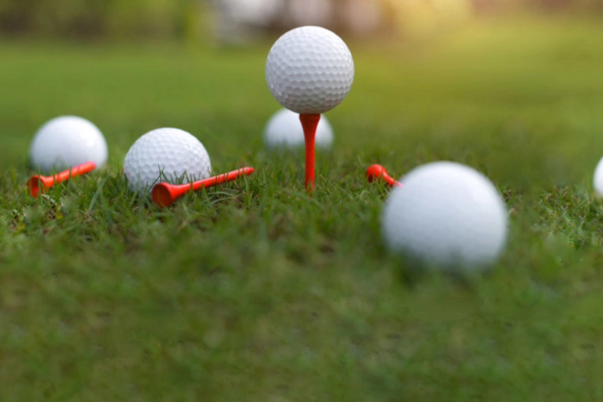The Corporate Golfer image